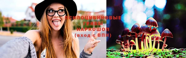 крисы Михайлов
