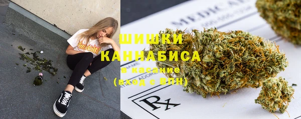 спиды Мегион